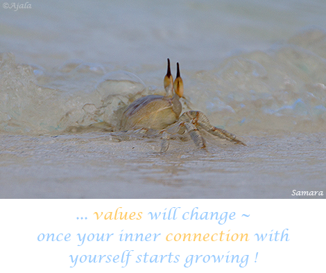 values-will-change--once-your-inner-connection-with-yourself-starts-growing