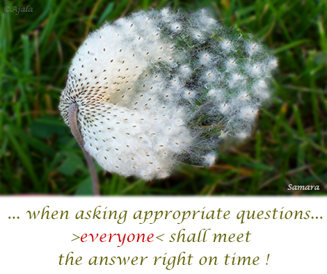 when-asking-appropriate-questions-everyone-shall-meet-the-answer-right-on-time