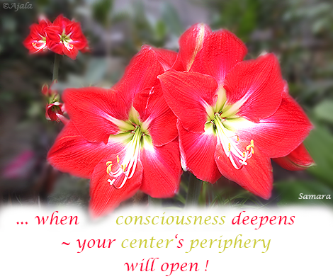 when-consciousness-deepens--your-center-s-periphery-will-open