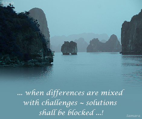 when-differences-are-mixed-with-challenges--solutions-shall-be-blocked
