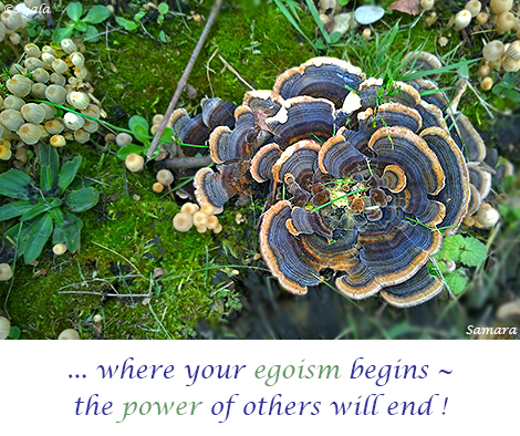 where-your-egoism-begins--the-power-of-others-will-end