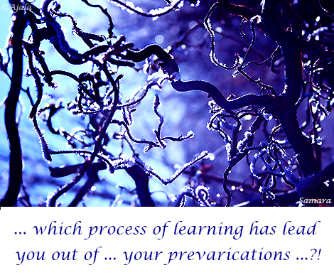 which-process-of-learning-has-lead-you-out-of-your-prevarications