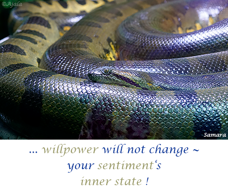 willpower-will-not-change--your-sentiment-s-inner-state