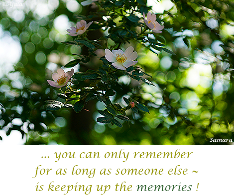 you-can-only-remember--for-as-long-as-someone-else--is-keeping-up-the-memories