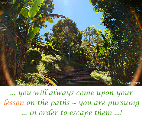 you-will-always-come-upon-your-lesson-on-the-paths--you-are-pursuing-in-order-to-escape-them