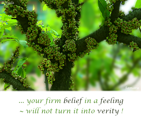 your-firm-belief-in-a-feeling--will-not-turn-it-into-verity