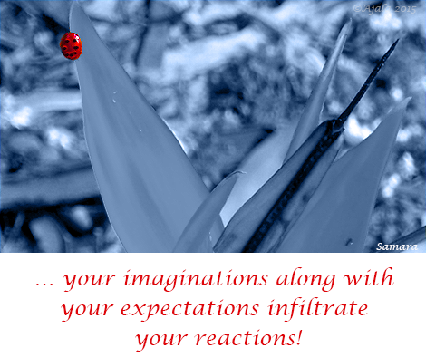 your-imaginations-along-with-your-expectations-infiltrate-your-reactions