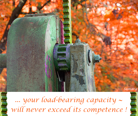 your-load-bearing-capacity--will-never-exceed-its-competence