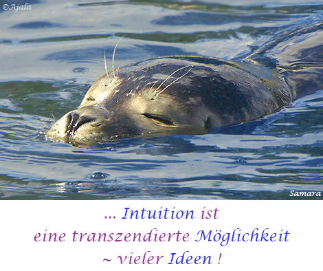 Intuition-ist-eine-transzendierte-Moeglichkeit--vieler-Ideen