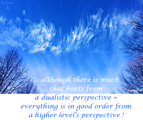 although-there-is-much-that-hurts-from-a-dualistic-perspective--everything-is-in-good-order-from--a-higher-level-s-perspective